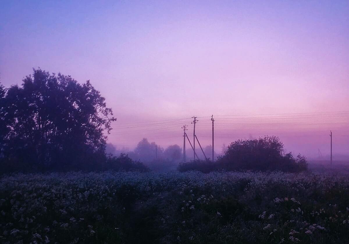 博鱼——引领潮流的智能钓鱼体验